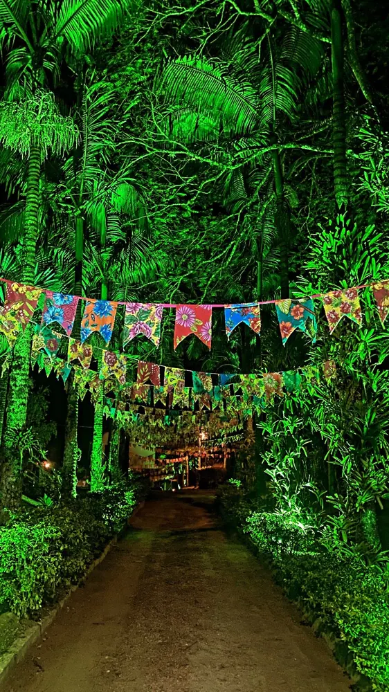 Bandeirinhas de festa junina entre as árvores